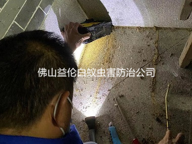 祖庙房屋白蚁防治工程